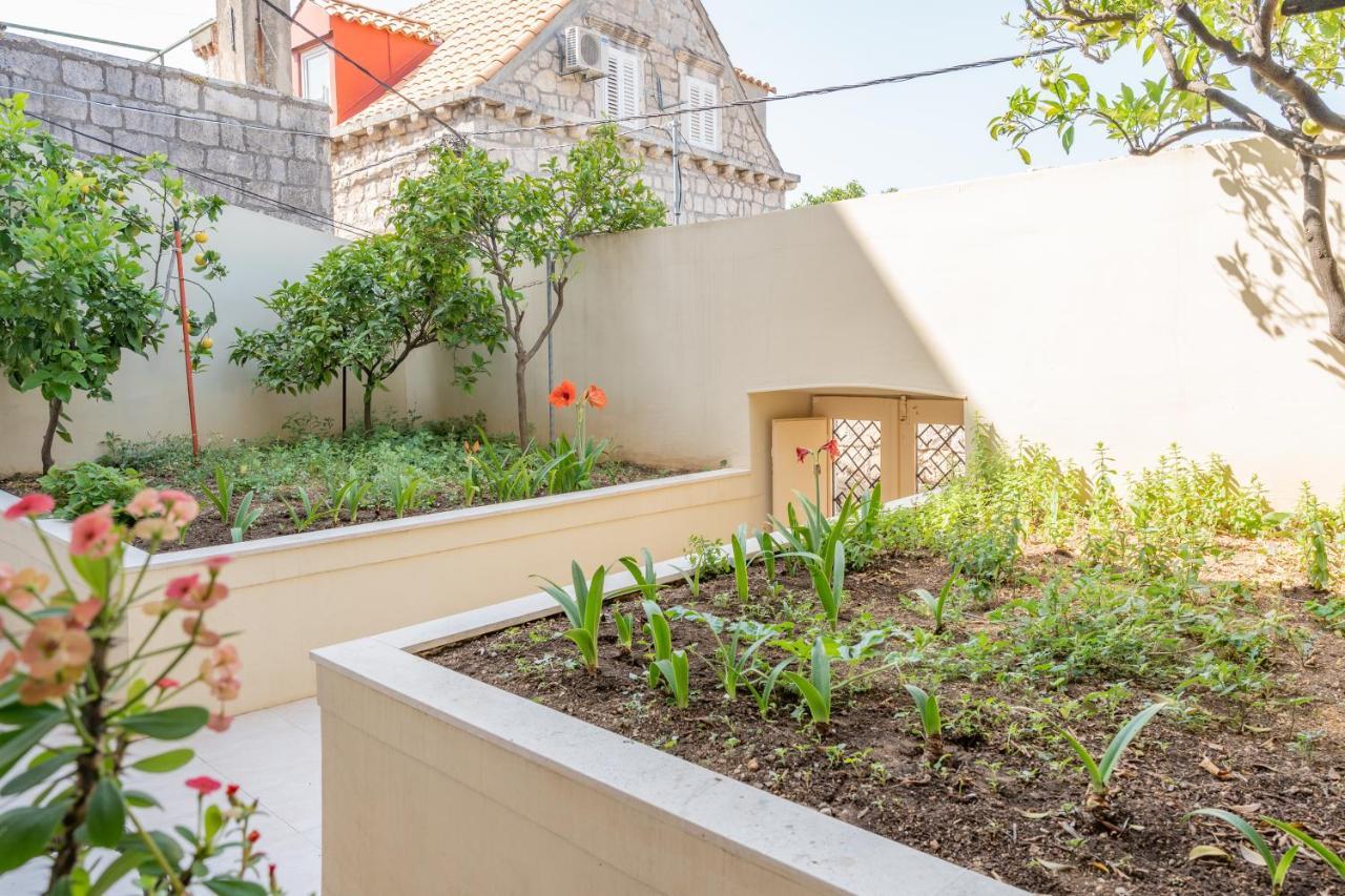 Mazza House Cavtat With Sea View-Center 아파트 외부 사진